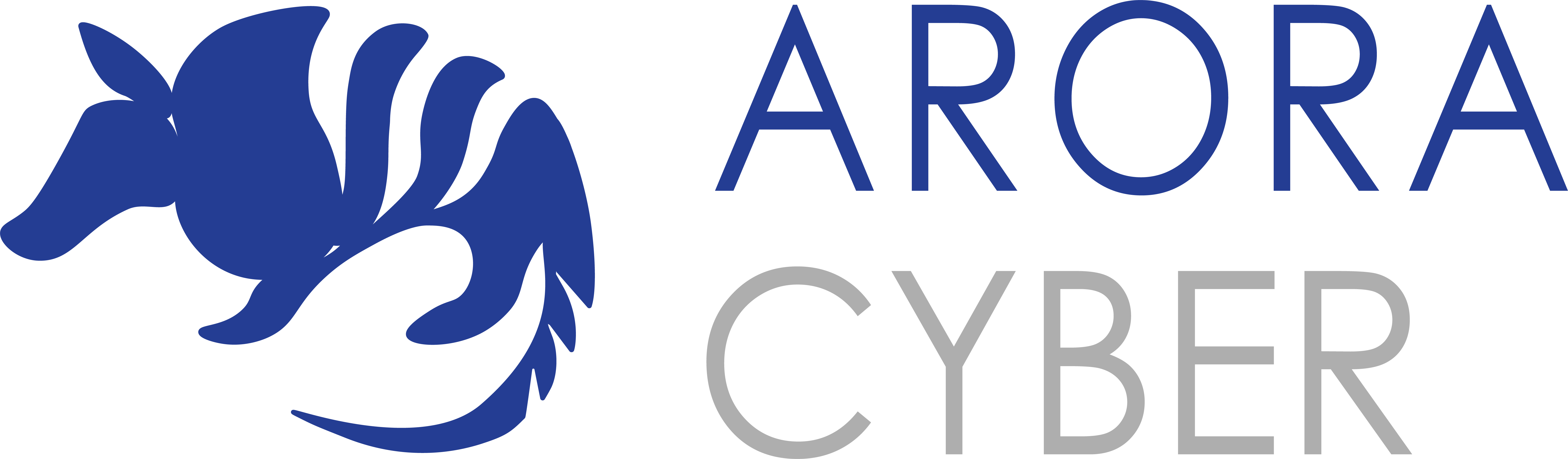 Arora Cyber